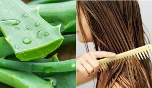 Hũ mặt nạ nha đam có thể dưỡng tóc